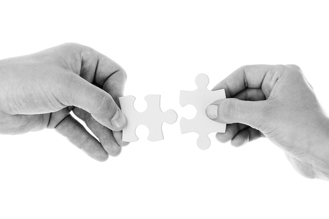 influencer marketing agency